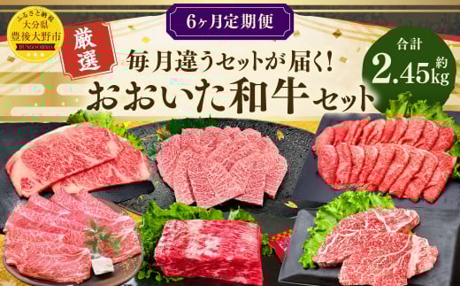 【6ヶ月定期便】おおいた和牛セット 合計約2.45kg