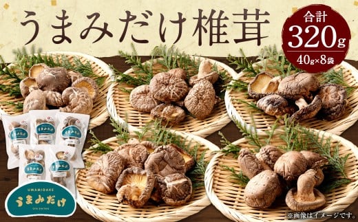 うまみだけ 食べくらべセット 40g×8袋 計320g