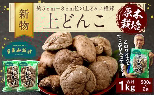 上どんこ 1kg（500g×2袋）椎茸 うまみだけ