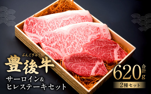 サーロイン 2枚 ヒレ 2枚 ステーキ 計4枚 620g