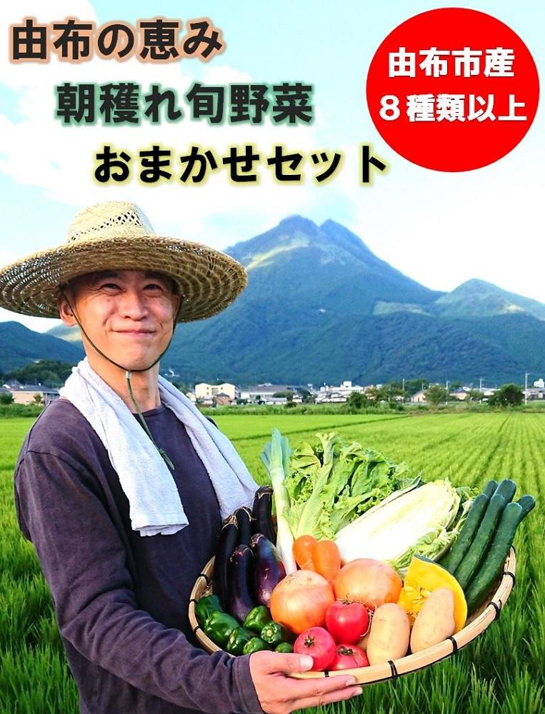 由布の恵み【新鮮 朝穫れ旬野菜！8種類以上！】おまかせお楽しみセット