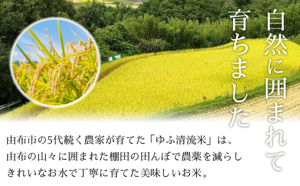 大分県産ひのひかり「ゆふ清流米」【7分つき】10kg