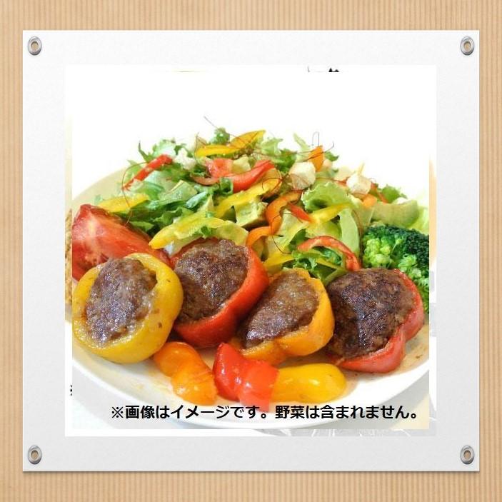 ＼年内発送／ 【全24個！】豊後牛ハンバーグ 豊後牛ミンチカツ 国産牛肉湯布院コロッケ バラエティーパック