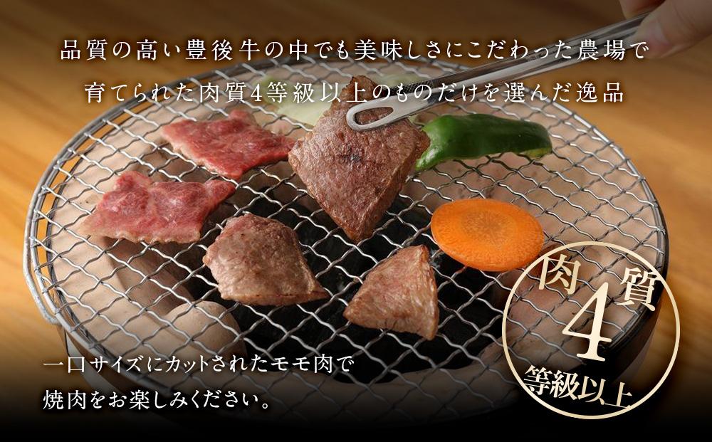 【おおいた和牛】もも焼肉用（500g）｜ 肉質4等級以上 こだわりの逸品
