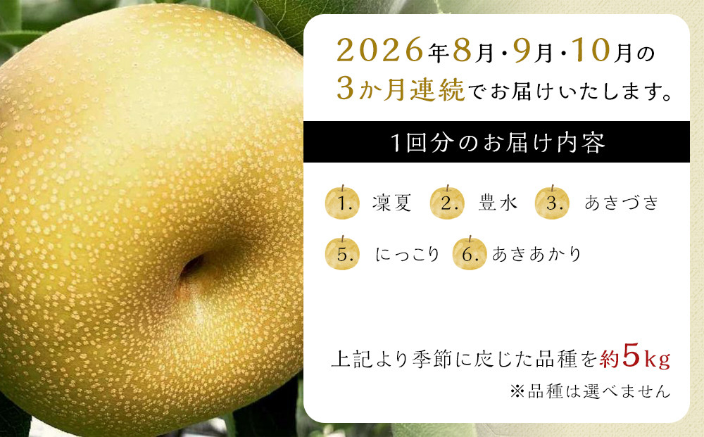 【定期便 全3回／2026年8～10月発送】＜旬の梨おまかせ5kg・6-14玉＞×3回（自家製有機肥料・減農薬・化学肥料無使用）