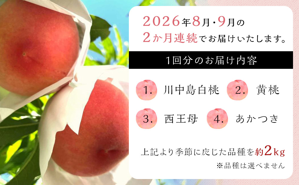 【定期便 全2回／2026年8・9月発送】＜旬の桃おまかせ約2kg・6～9玉＞×2回（自家製有機肥料・減農薬・化学肥料無使用）