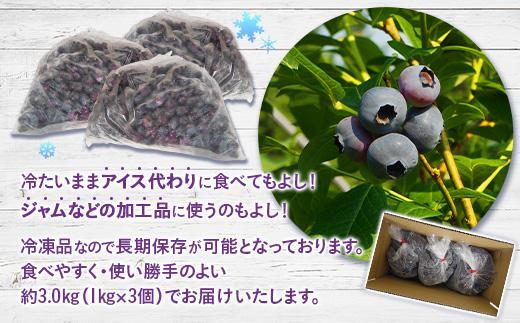 【由布市湯布院町産】 訳あり 冷凍ブルーベリー 3kg（1kg×3個）
