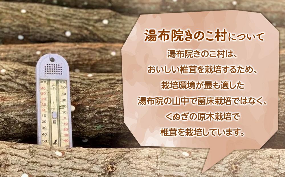 湯布院【有機原木椎茸使用】ミートキノコソース180g×2袋