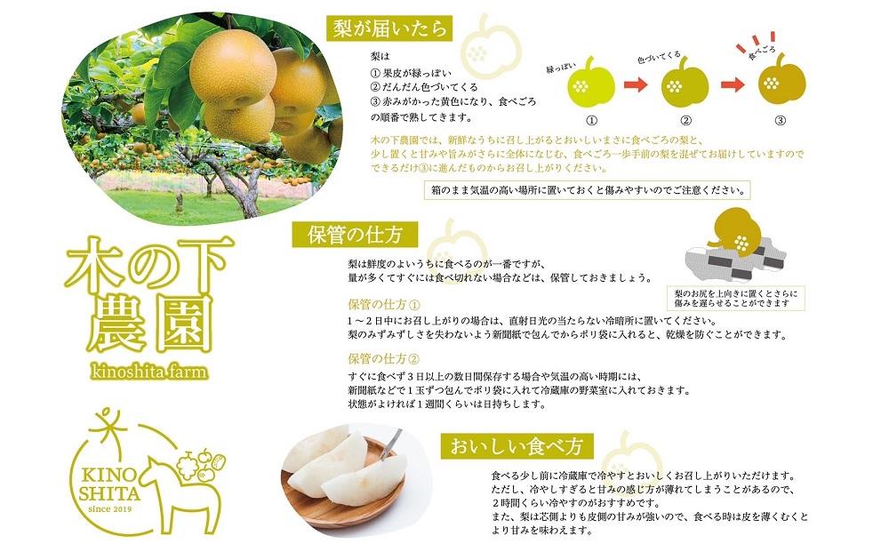 ＜梨の王様＞庄内梨 新高 3kg（4～6玉）【2025年10月上旬頃より発送】