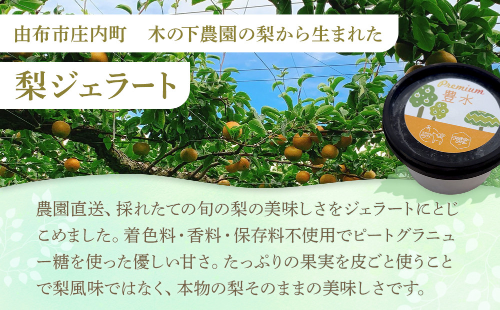 ＜庄内梨80％使用＞梨のプレミアムジェラート 6個 セット（幸水・豊水・新高 各2個）