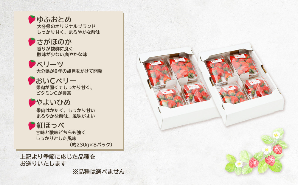 【2026年発送/先行予約】湯布院の温泉で育てたいちご おまかせ約1,840g（約230g×8パック）
