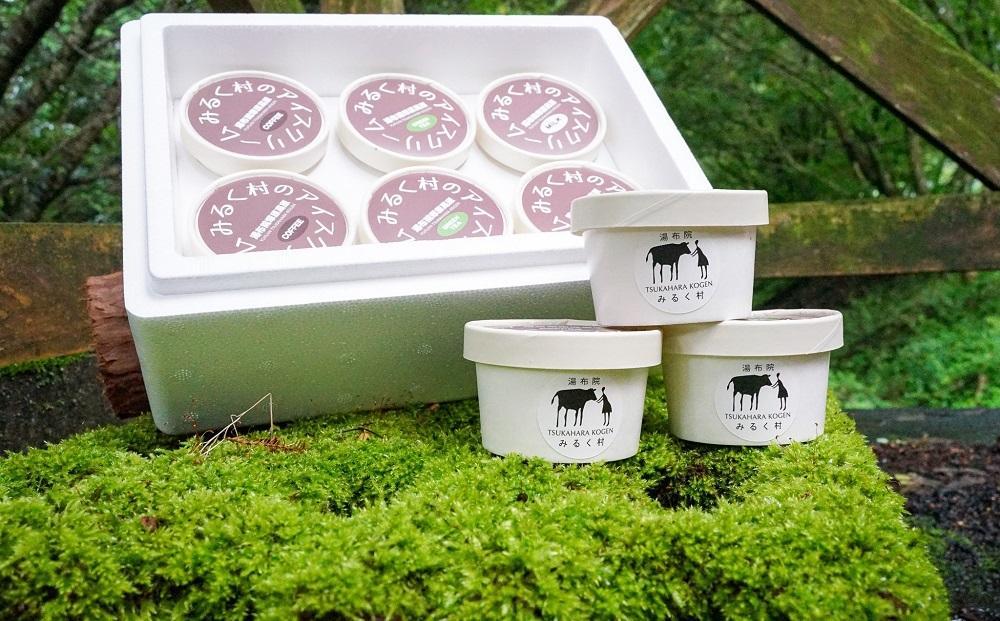 自家製 手作り ミルクアイスクリーム 12個 セット【みるく村 レ・ビラージュ】Lait Village 塚原高原