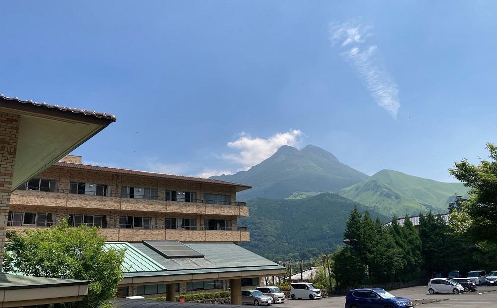 湯布院病院 スペシャルドック(人間ドック＋α)  チケット 1名様分・温泉プール利用券 1枚