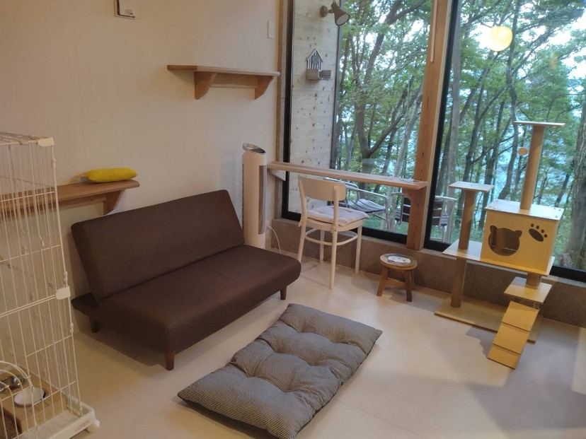 YUFUIN HOGONEKO FOREST　森の中で保護猫と一緒に宿泊できるチケット（年末年始不可、食事なし）