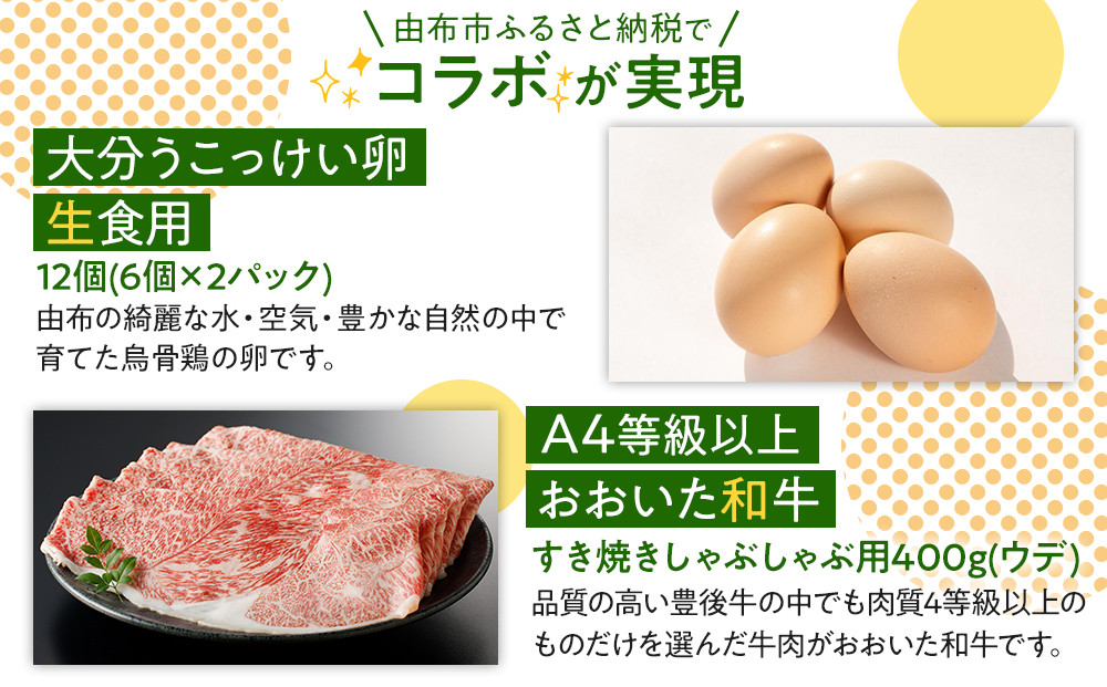 【ゆふの福袋】＜ゆふぶくろ＞これで完璧！すき焼きセット＼由布市制施行20周年記念返礼品／