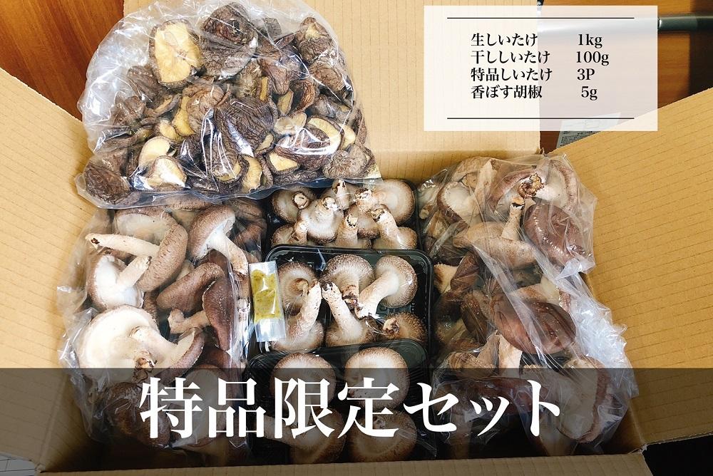 ＼年内発送／ 【特別限定セット】湯布院産 生しいたけ1kg+特品しいたけ3P+乾ししいたけ100g+香ぼす胡椒｜栽培期間農薬不使用