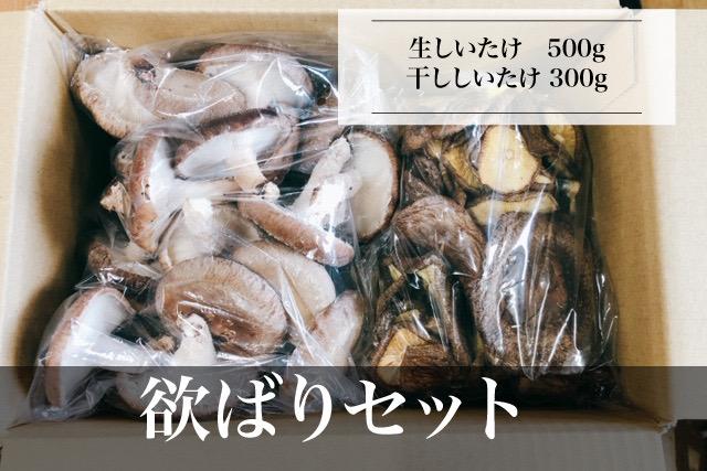 ＼年内発送／ 【欲ばりセット】湯布院産 （生しいたけ500g+干ししいたけ300g+香ぼす胡椒）｜栽培期間農薬不使用