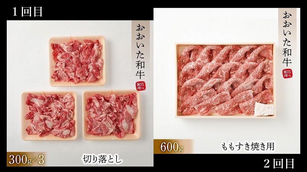 【6回定期便】【おおいた和牛】食べ尽くし大満足コース 総計3.5kg｜ 肉質4等級以上 こだわりの逸品