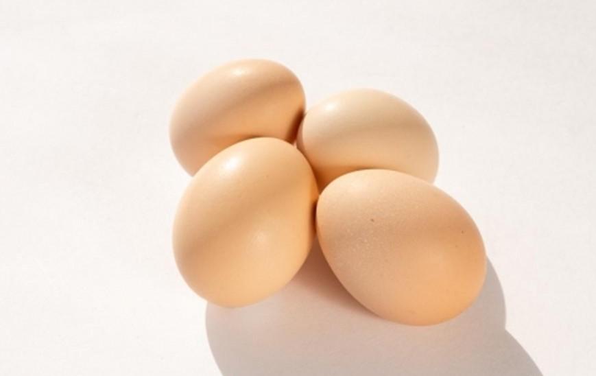 【定期便 全3回】大分うこっけい卵（生食用３０個）