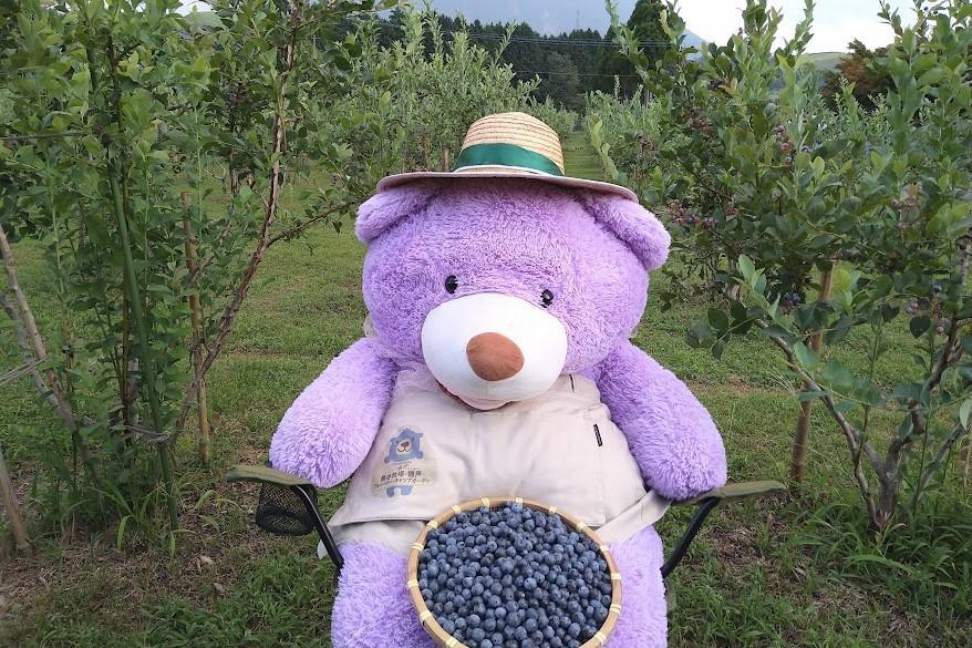 【湯布院 熊谷牧場・雛戸】無農薬で育てたくまさんのブルーベリーソース 4本セット