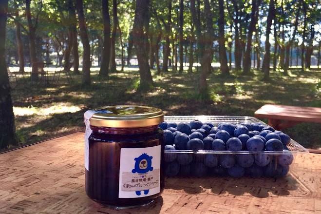【父の日】【湯布院 熊谷牧場・雛戸】無農薬で育てたくまさんのブルーベリーソース 4本セット