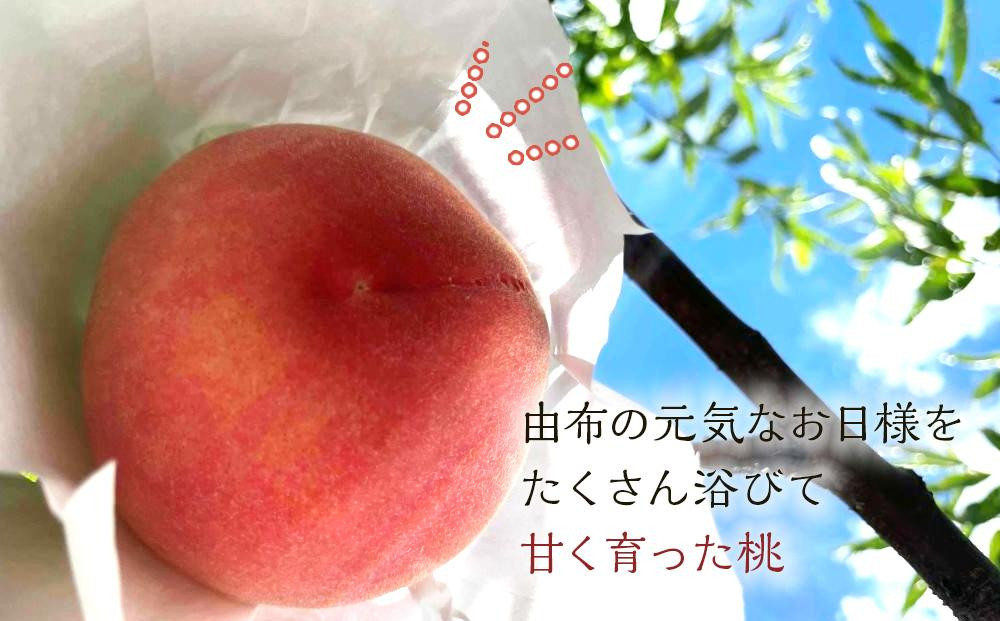 【2026年8月中旬以降より発送】旬の桃おまかせ約3kg・5～8玉（自家製有機肥料・減農薬・化学肥料無使用）