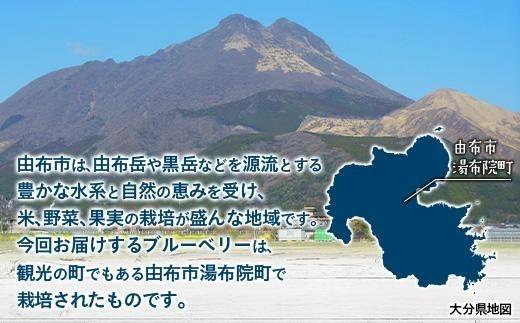 【由布市湯布院町産】 訳あり 冷凍ブルーベリー 2kg（1kg×2個）