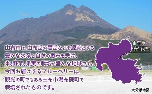 【由布市湯布院町産】 訳あり 冷凍ブルーベリー 3kg（1kg×3個）
