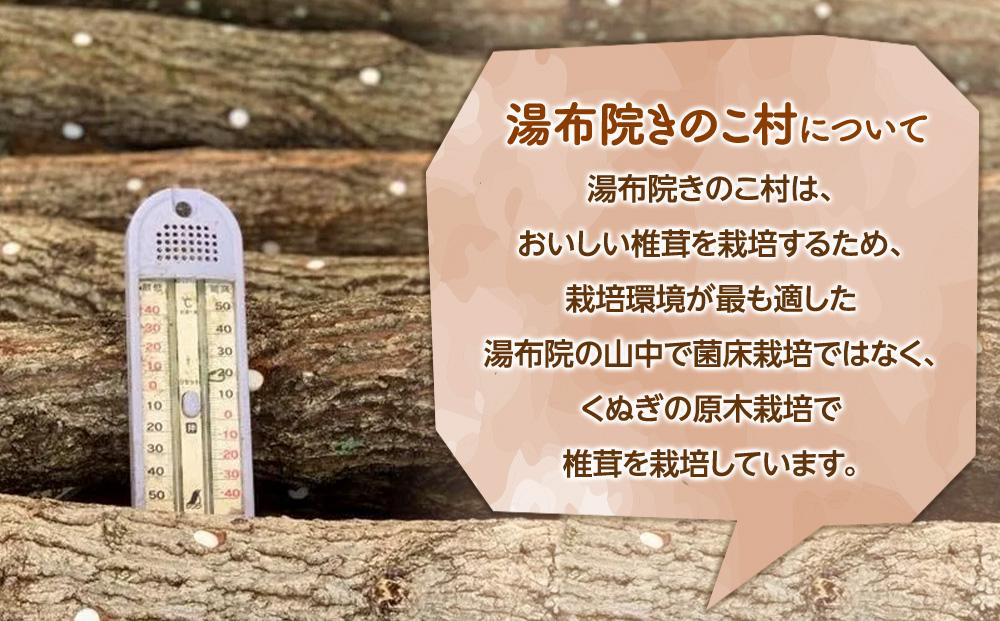 湯布院【有機原木椎茸】とシイタケペーストセット