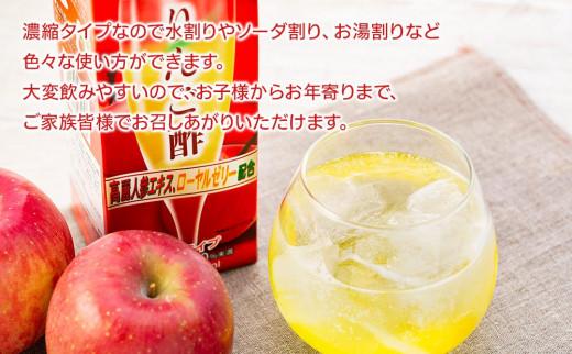 ＜年に4回お届け！定期便＞濃縮りんご酢 1000ml×12本（常温保存可能品／1ケース）