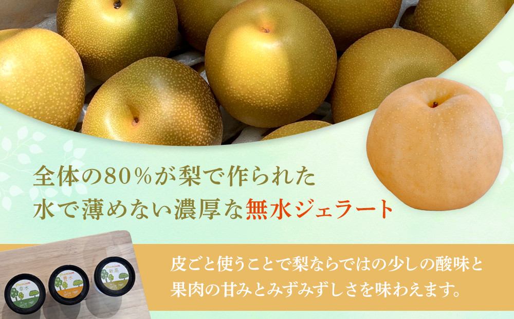 ＜庄内梨80％使用＞梨のプレミアムジェラート 6個 セット（幸水・豊水・新高 各2個）