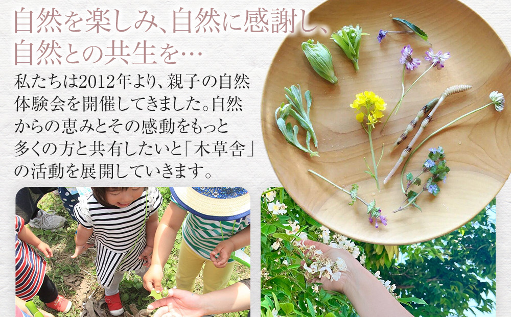 ＜300年生の杉の木目を活かす＞寅の鍋敷き【木草舎ーもくそうやー】