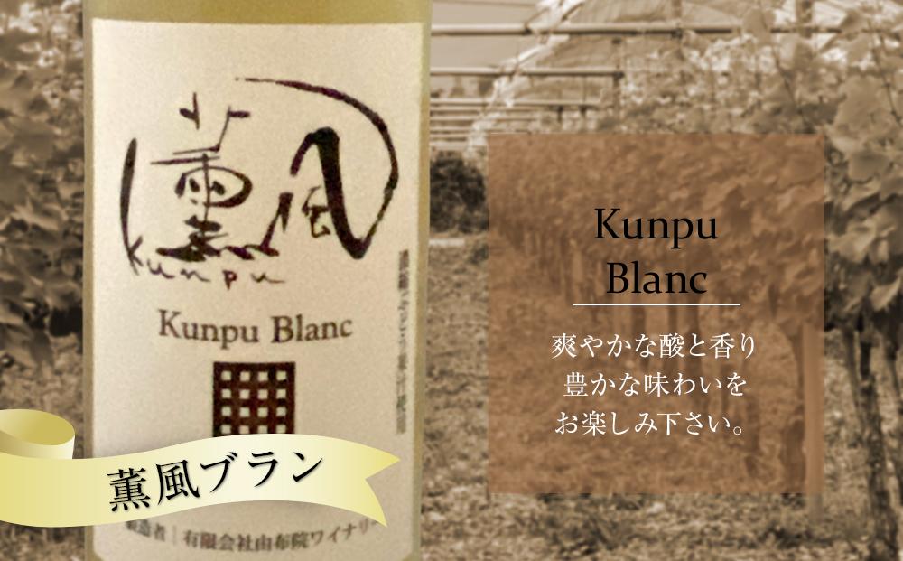 ＼年内発送／ 薫風ルージュ・ 薫風ブラン 720ml×各1本 計2本（赤・白ワイン）＜由布院ワイナリー＞