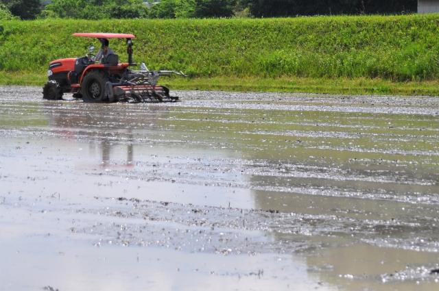 湯布院産 おおくぼさんちの美味しい 白米 5g【ひとめぼれ】