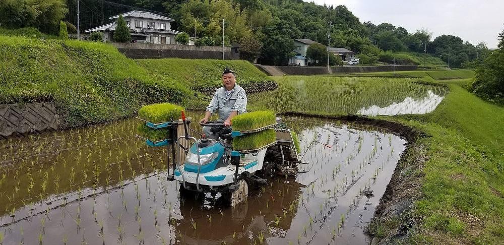 ＼年内発送／ 大分県産ひのひかり「ゆふ清流米」【白米】5kg