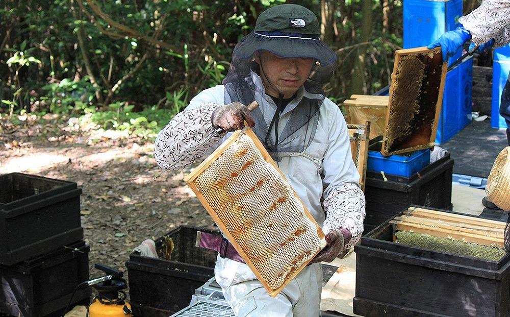 由布市産 「おおいた百花はちみつ」1kg（1kg入瓶）