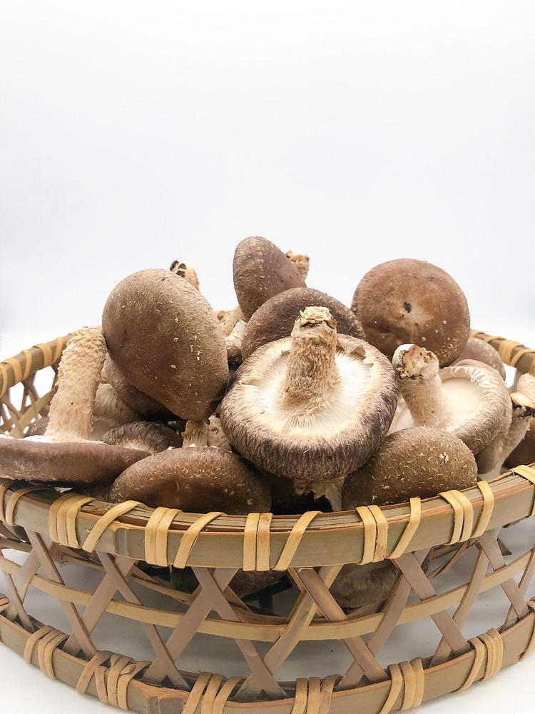 ＼年内発送／ 【欲ばりセット】湯布院産 （生しいたけ500g+干ししいたけ300g+香ぼす胡椒）｜栽培期間農薬不使用