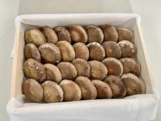 ＼年内発送／ 【全国銅賞受賞】＜贈答用＞桐箱入り特品しいたけ(約400ｇ・サイズ混合約25枚)｜栽培期間農薬不使用