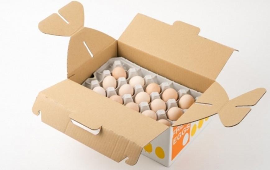 【定期便 全6回】大分うこっけい卵（生食用３０個）