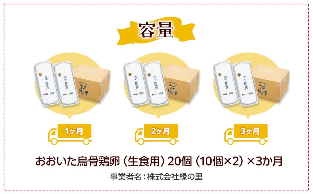 【定期便 全3回】大分うこっけい卵　生食用20個（10個×2）×3回