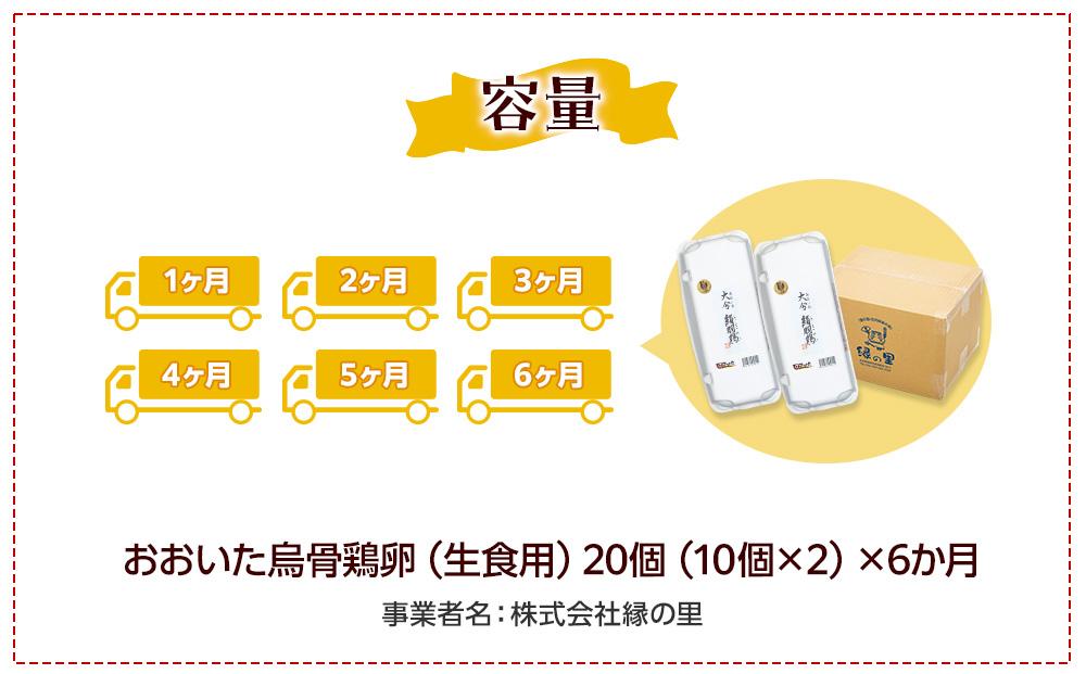 【定期便 全6回】大分うこっけい卵　生食用20個（10個×2）×6回