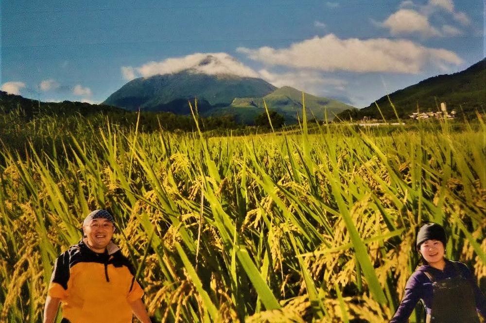 【玄米】湯布院の旅館の板場さんからも認められた美味しいお米（雄三の玄米）5kg