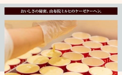 【由布院ミルヒ】ケーゼクーヘン（チーズケーキ）8個入