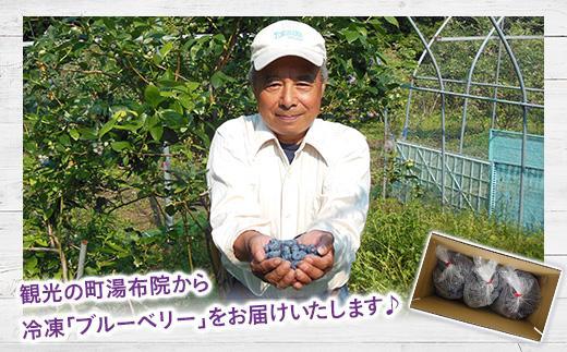 【由布市湯布院町産】 訳あり 冷凍ブルーベリー 3kg（1kg×3個）