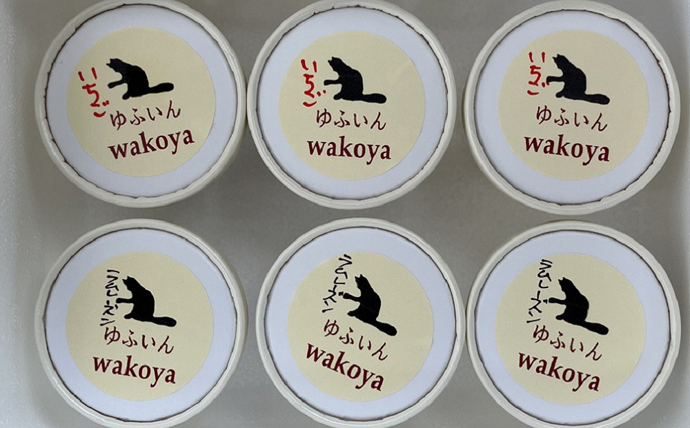 豆乳いちごアイス＆豆乳ラムレーズンアイスセット 約80g×各3個入り 計6個【ゆふいんwakoya】