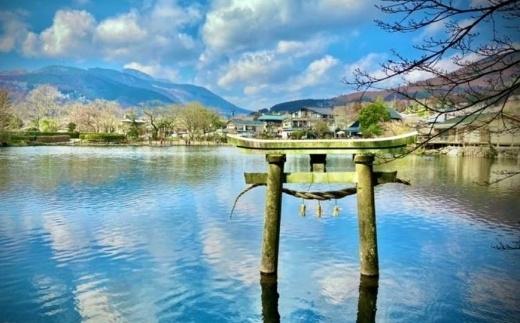 【湯布院】人力車でゆったりゆふいん巡り 45分コース／2名様