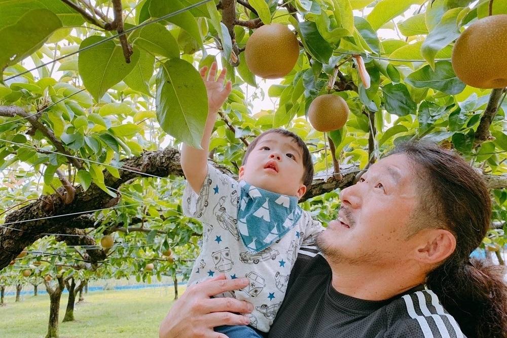 ＜2021年庄内梨一等賞＞庄内梨 豊水 5kg（7～14玉）【2025年9月上旬頃より発送】