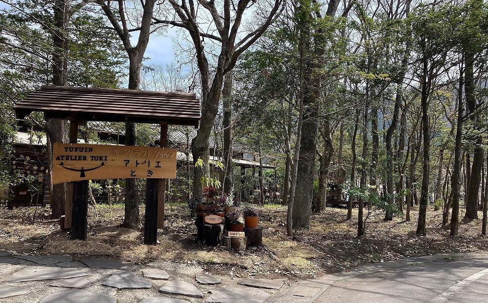 ＼年内発送／ 【ゆふいん・アトリエとき】幸せの木の葉皿 3枚 セット