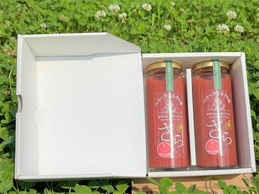 ＼年内発送／ ＜由布市産ベリーツを使用＞手作り いちごミルクの素「さら」 200g×2本【はなえみ工房】