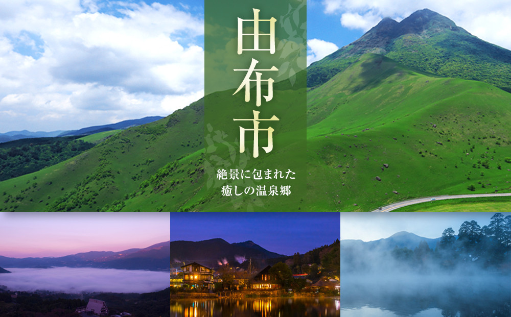 シャンパンと一緒に♪【大人の時間 YOI TSU TSU】羊羹 2本セット ＜赤司菓子舗＞